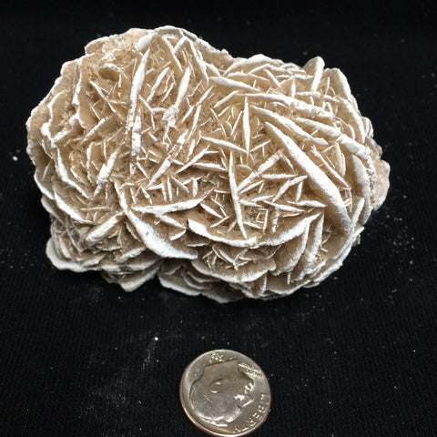 Selenite Rose #C