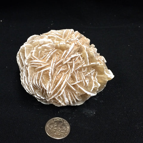 Selenite Rose #H