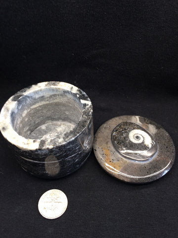 Ammonite jar #2
