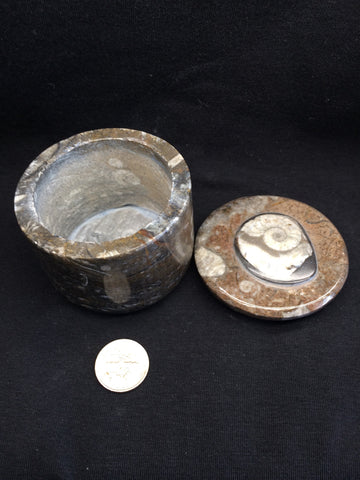 Ammonite jar #1